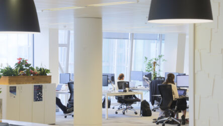 A More Streamlined Approach To Project Management For Rider Levett Bucknall (RLB)